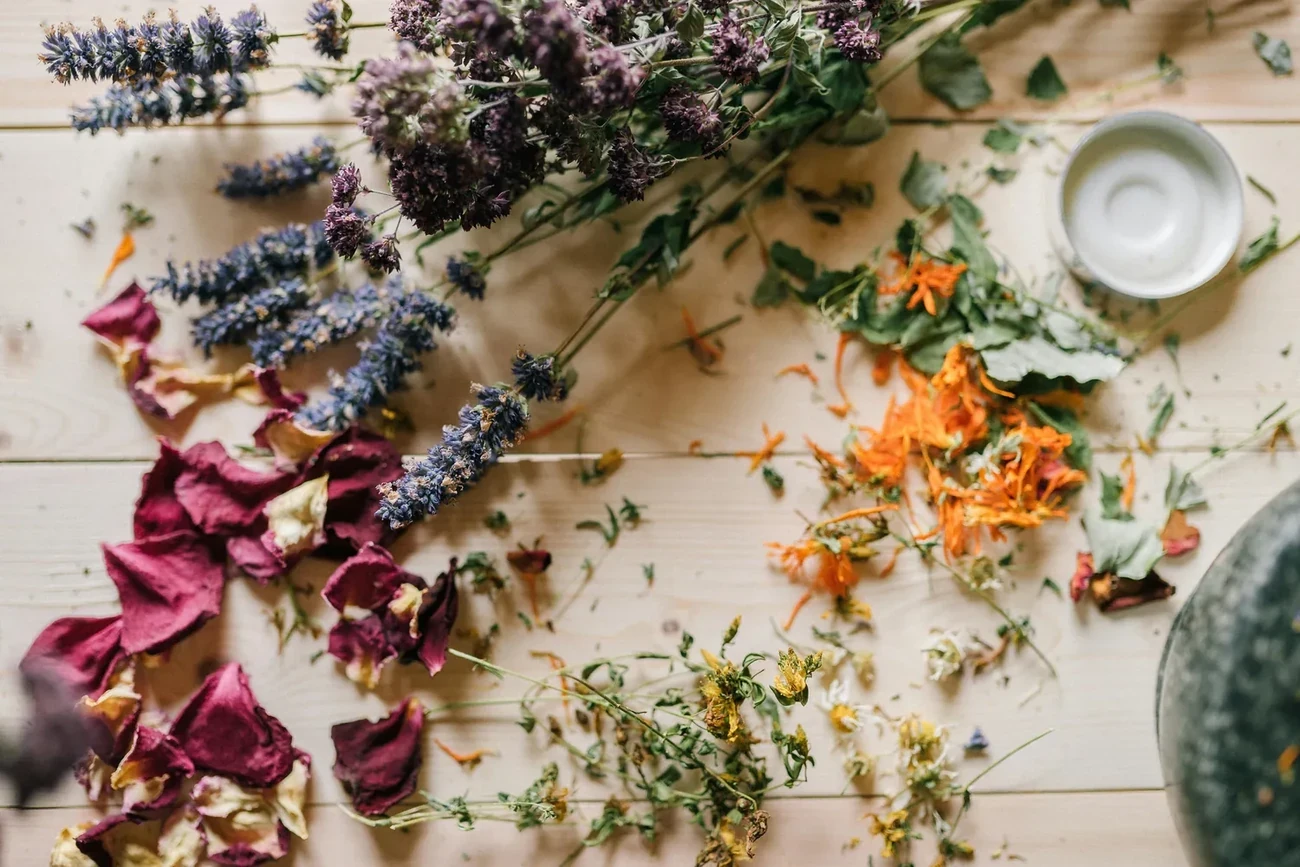 Image pour l'article Naturopathe tarif : combien coûtent les séances de naturopathie et sont-elles remboursées ?