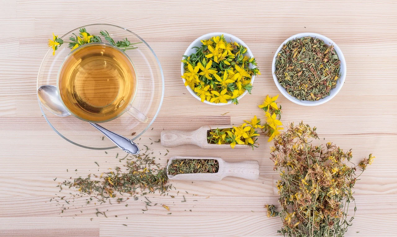 Image pour l'article Médecine douce : définition, bienfaits et techniques naturelles