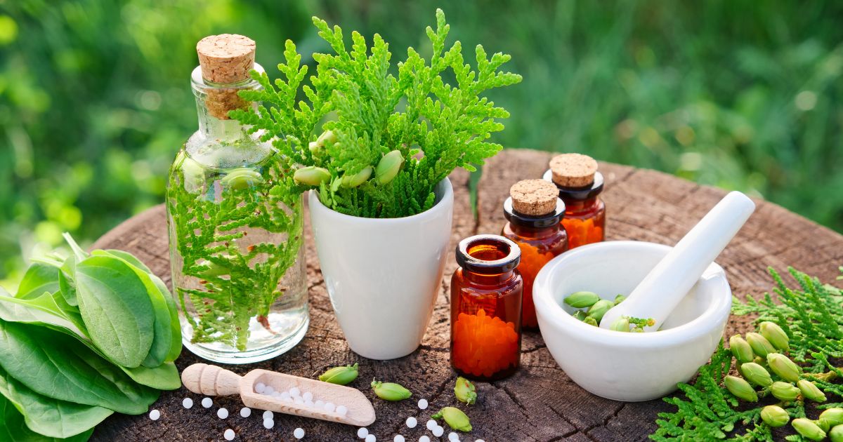 Image pour l'article Naturopathie : votre nouvelle BFF bien-être